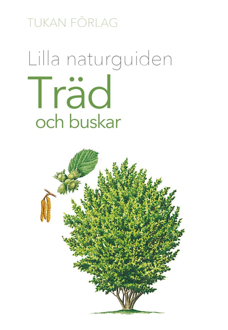 Lilla naturguiden : Träd och buskar