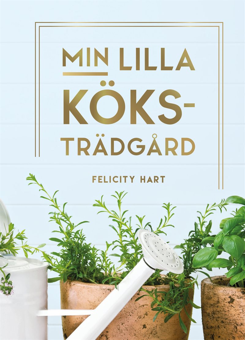 Min lilla köksträdgård