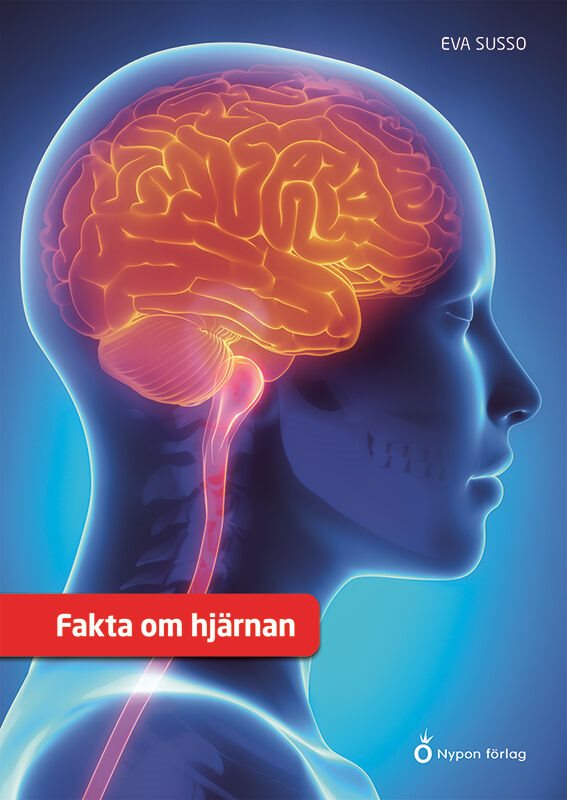 Fakta om hjärnan