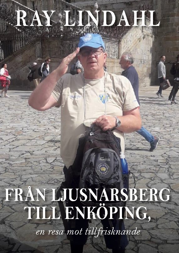 Från Ljusnarsberg till Enköping : en resa mot tillfrisknande