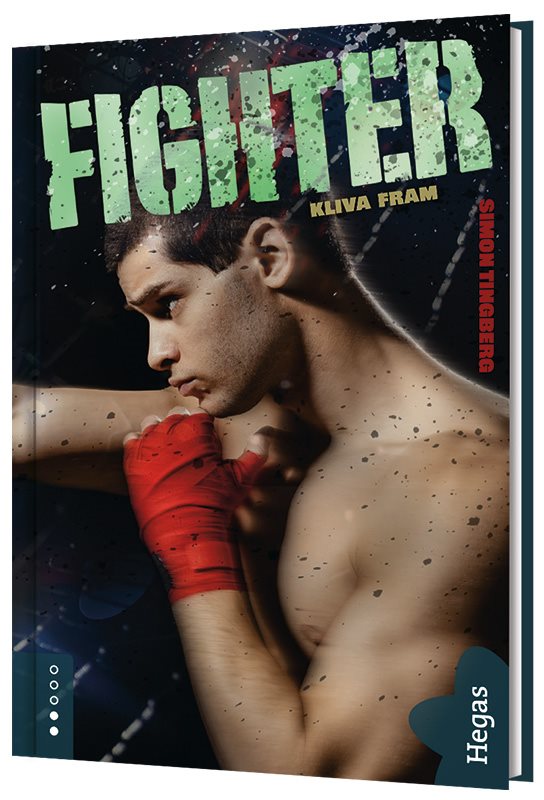 Fighter 4 - Kliva fram