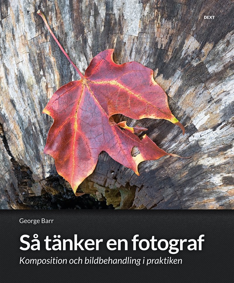 Så tänker en fotograf : komposition och bildbehandling i praktiken