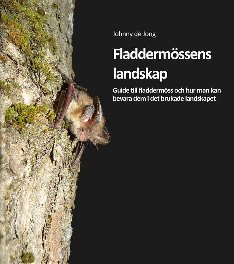 Fladdermössens landskap