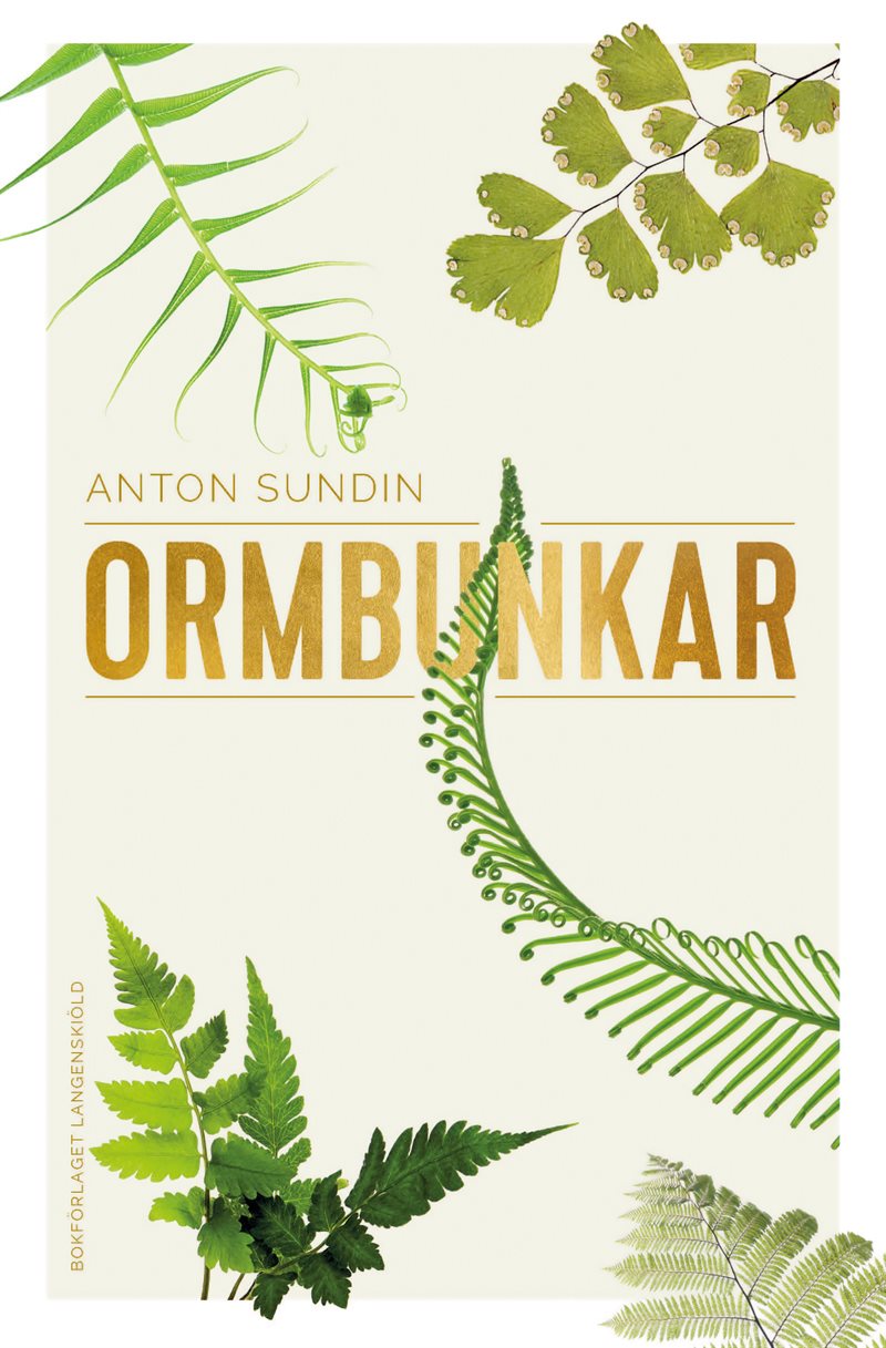 Ormbunkar