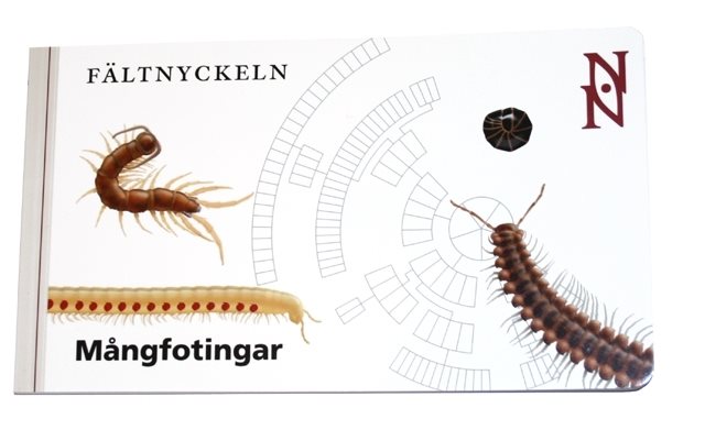 Fältnyckeln. Mångfotingar