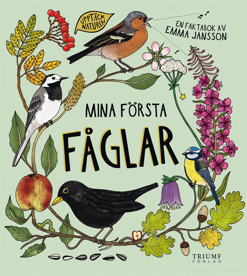 Mina första fåglar