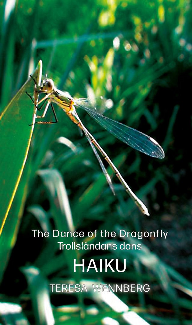 The dance of the Dragonfly / Trollsländans dans