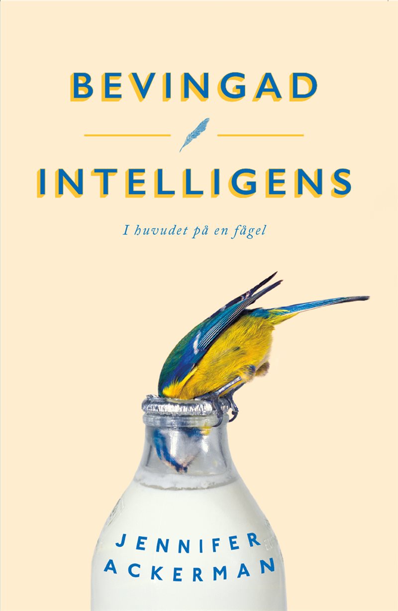 Bevingad intelligens : I huvudet på en fågel