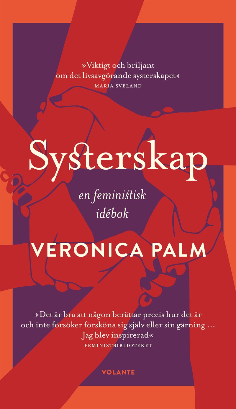 Systerskap : en feministisk idébok