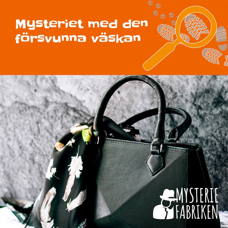 Mysteriet med den försvunna väskan