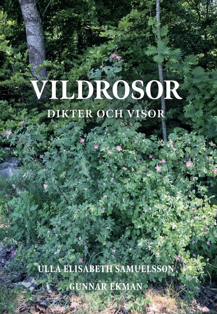 Vildrosor