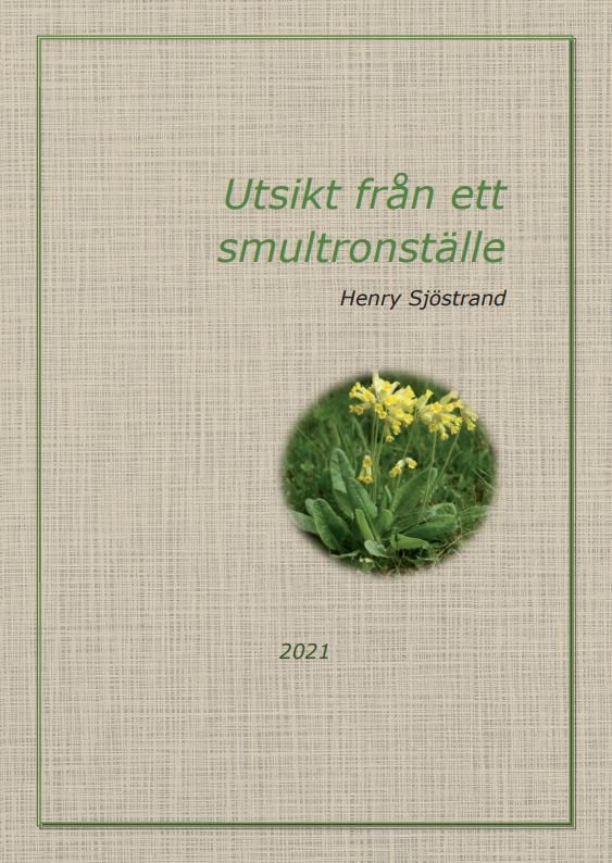 Utsikt från ett smultronställe