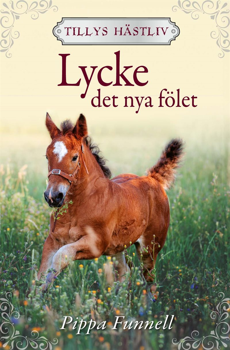 Lycke : det nya fölet