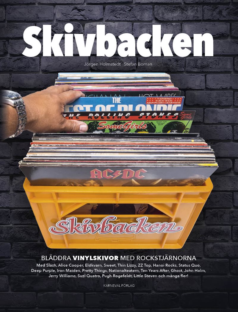 Skivbacken : bläddra vinylskivor med rockstjärnorna