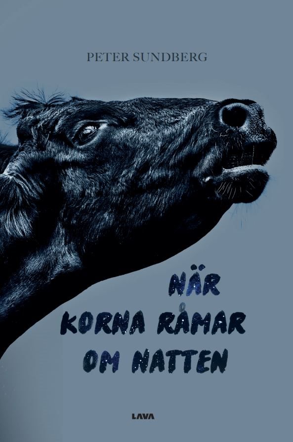 När korna råmar om natten