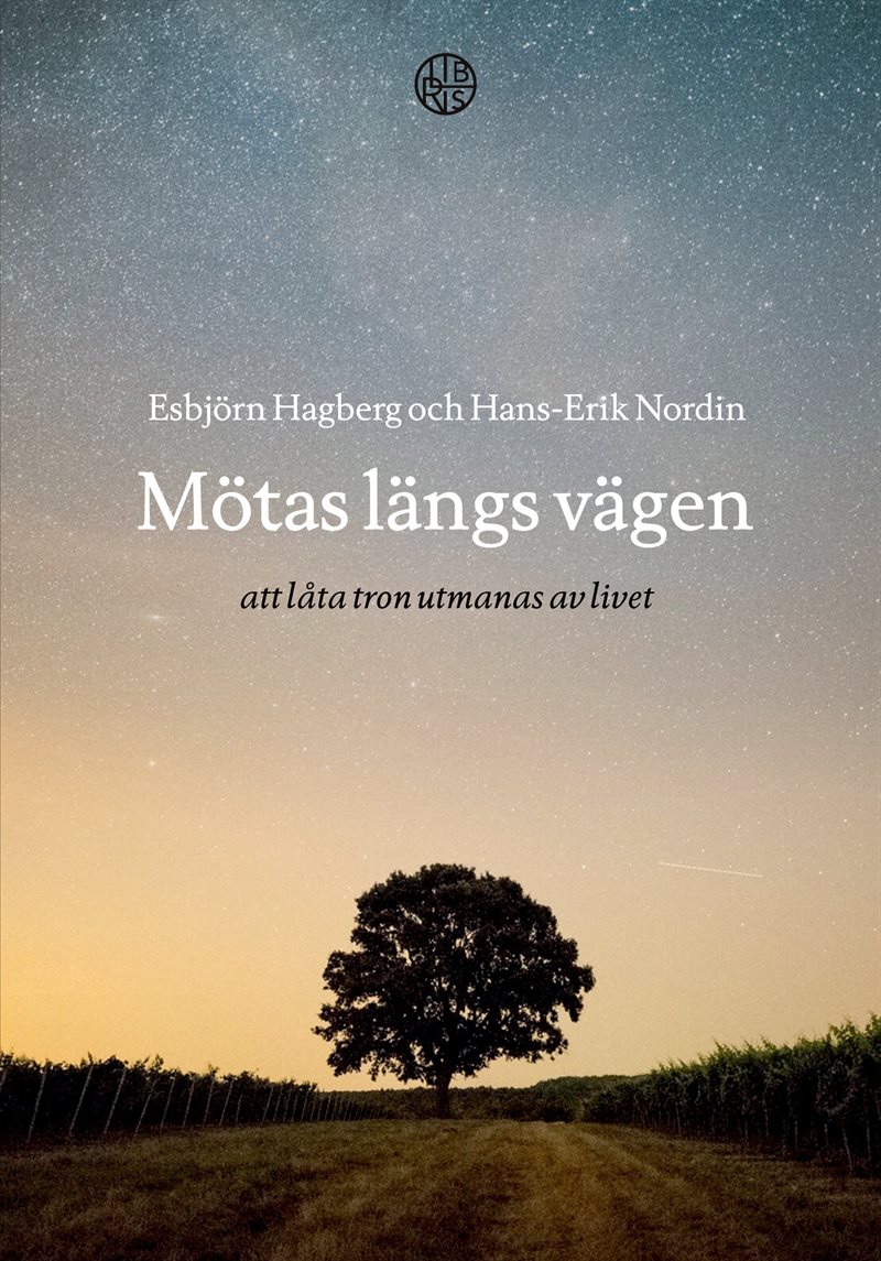 Mötas längs vägen - att låta tron utmanas av livet