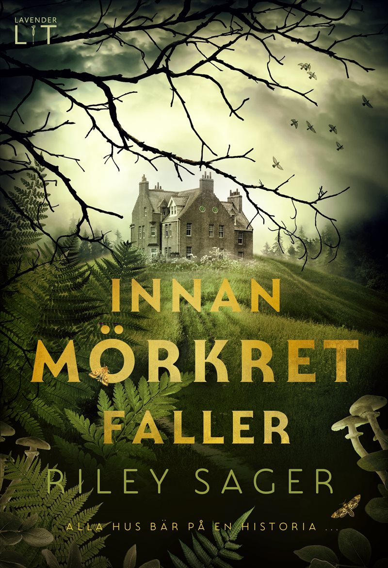 Innan mörkret faller