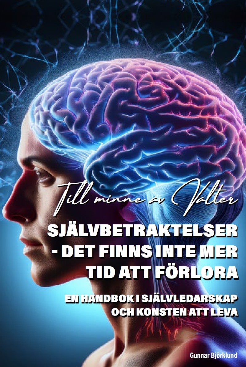 Självbetraktelser : det finns inte mer tid att förlora 