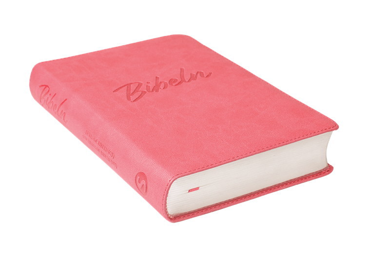 Nya Levande Bibeln 2015 - Konstskinn Rosa