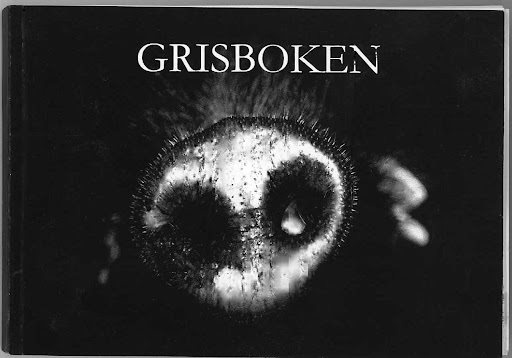 Grisboken