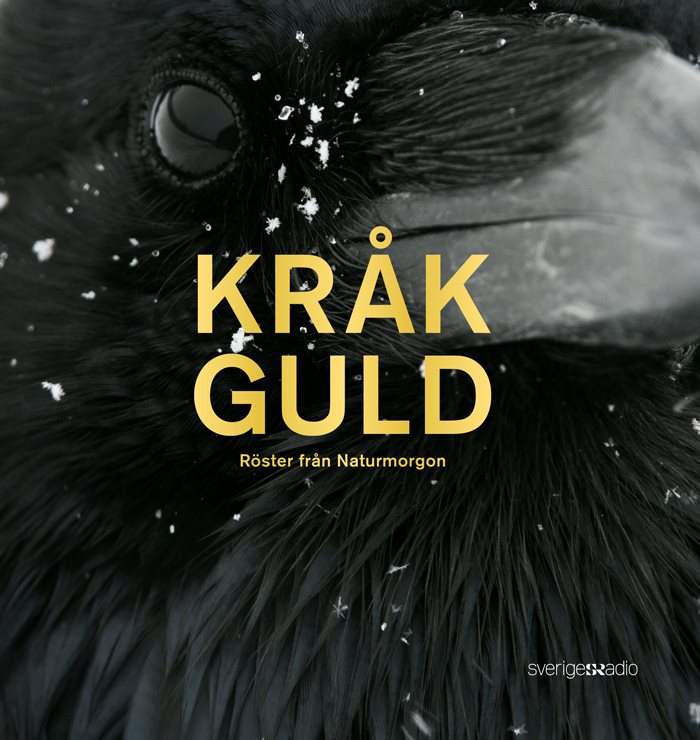 Kråkguld : röster från Naturmorgon