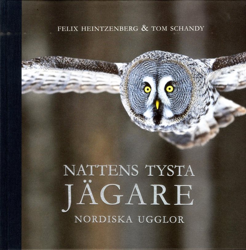 Nattens tysta jägare : nordiska ugglor