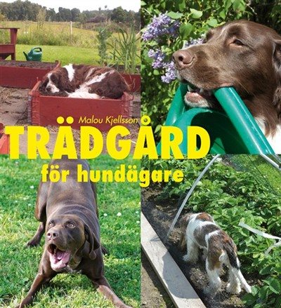 Trädgård för hundägare