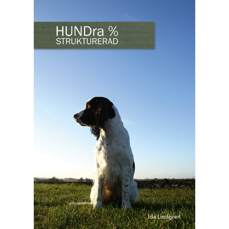 HUNDra % strukturerad