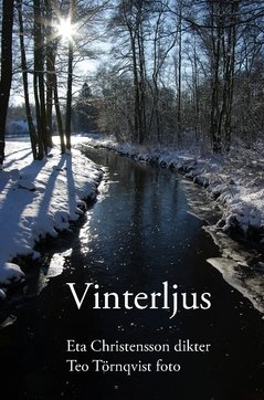 Vinterljus