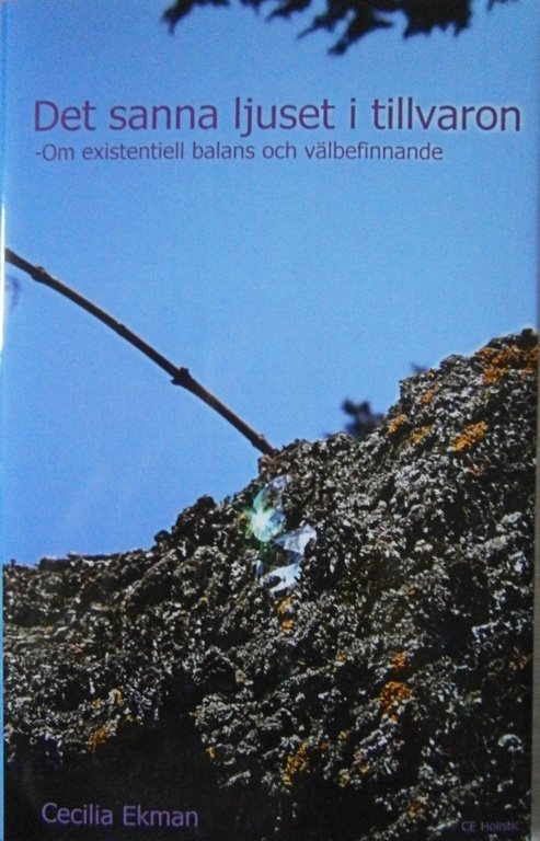 Det sanna ljuset i tillvaron : om existentiell balans och välbefinnande