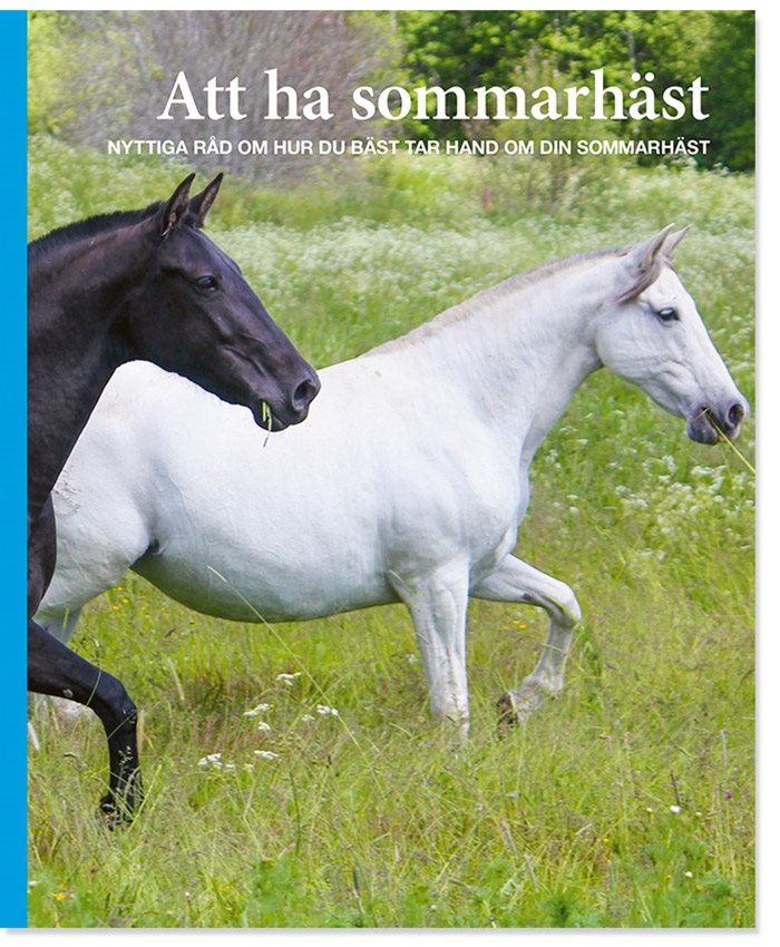 Att ha sommarhäst