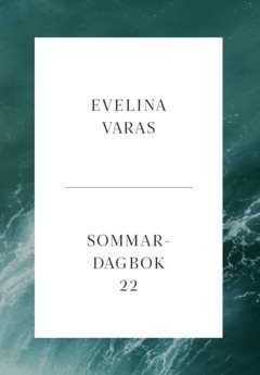 Sommardagbok -22