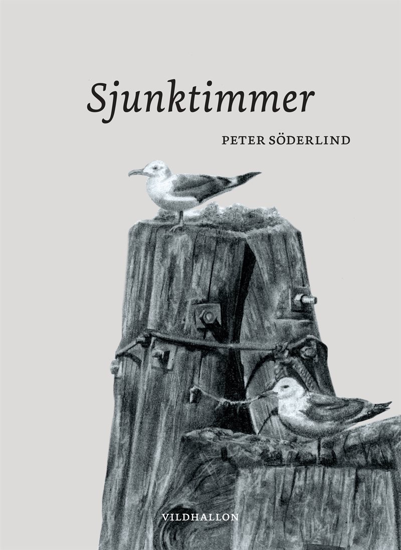 Sjunktimmer