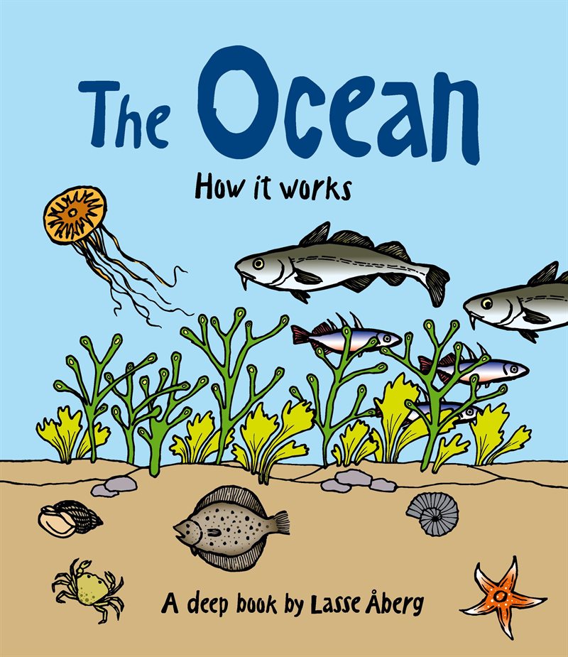 How the ocean works