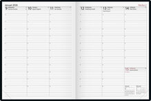 Journal Brun FSC