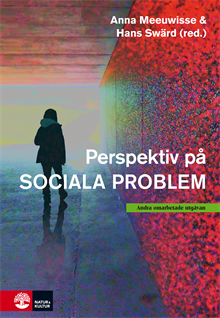 Perspektiv på sociala problem