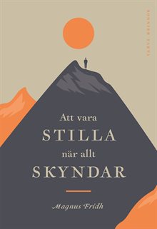 Att vara stilla när allt skyndar