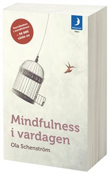 Mindfulness i vardagen : Vägar till medveten närvaro