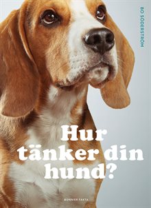 Hur tänker din hund?