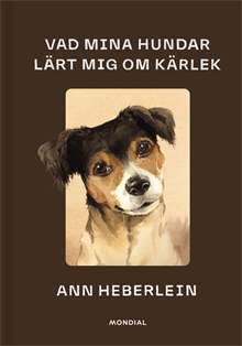 Vad mina hundar lärt mig om kärlek